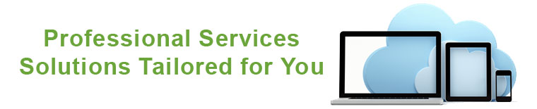 Professional Services